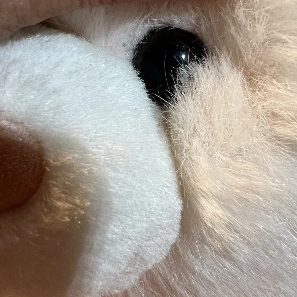 Cuddle‎ Wit Pink Plush Bear Sewn Nose / Mouth Button Eyes 16